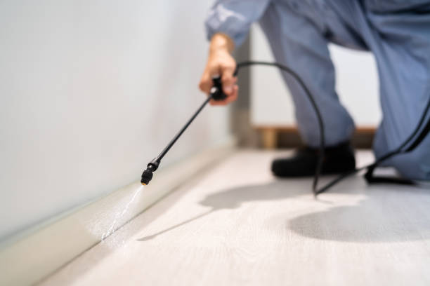 Rodent Entry Point Assessment in Aberdeen