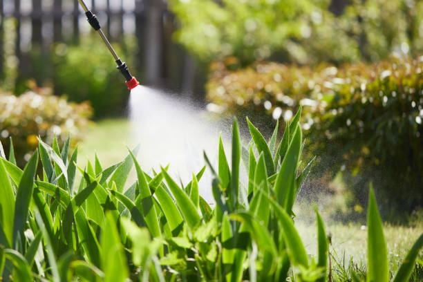 Tamper-Resistant Bait Stations for Rodents in Aberdeen