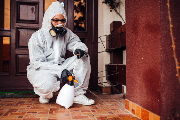 Attic and Crawl Space Rodent Treatment in Aberdeen