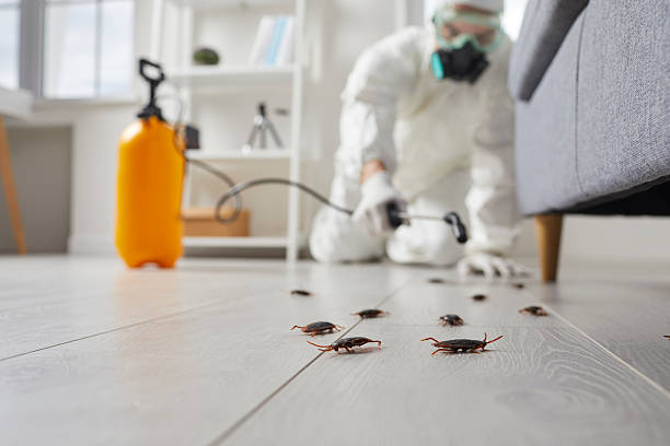 Commercial Rodent Management in Aberdeen